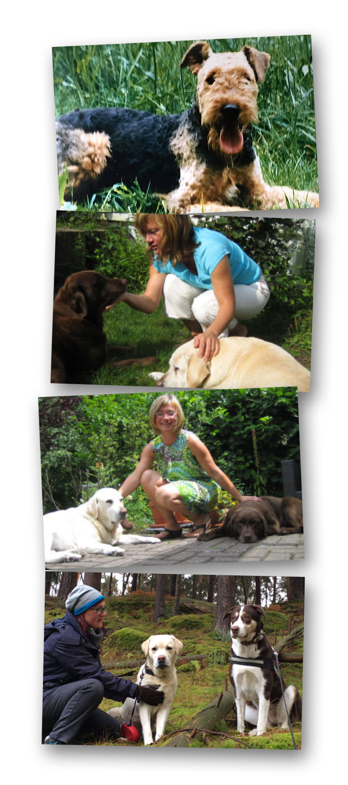 Tierische Lehrer Tierische Lehrer